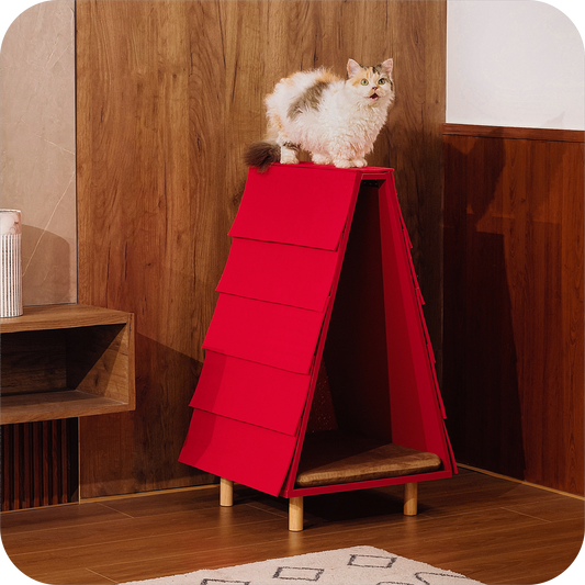 FÉLICETTE Cat Foldable House, Cat Bed for Indoor Cats, Vintage Cat Cave, Wooden Cat beds & Cat Tree & Cat Scratcher 3 in 1